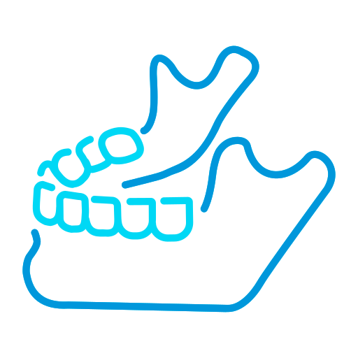 mandibula (1)